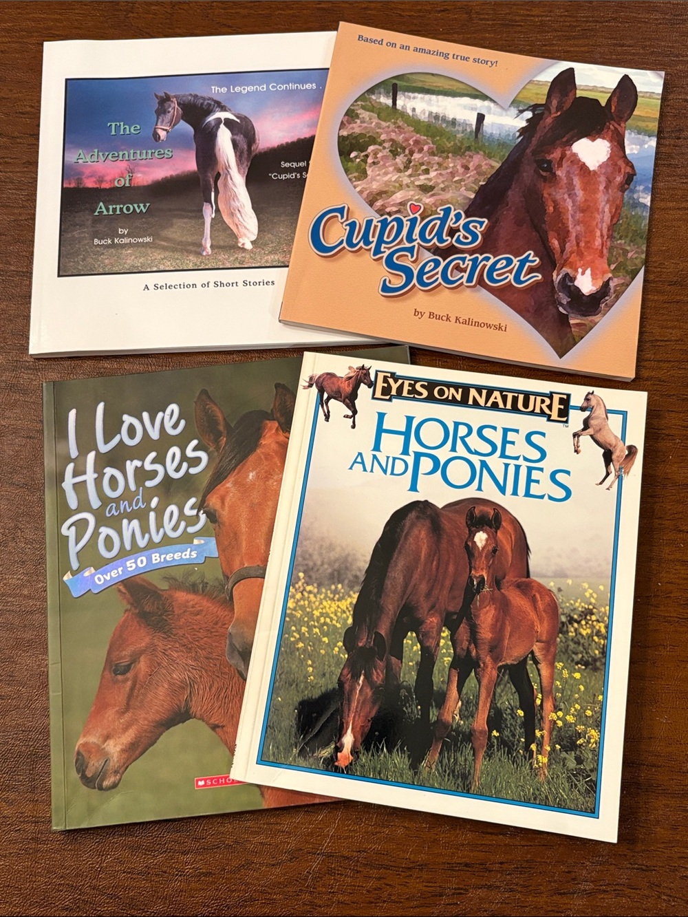 Horses Book Bundle